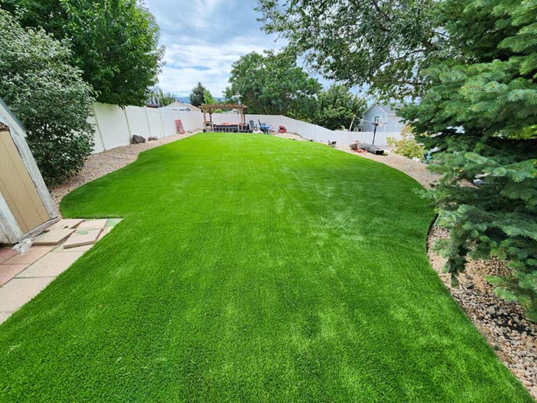 Backyard Transformation Backyard Transformation